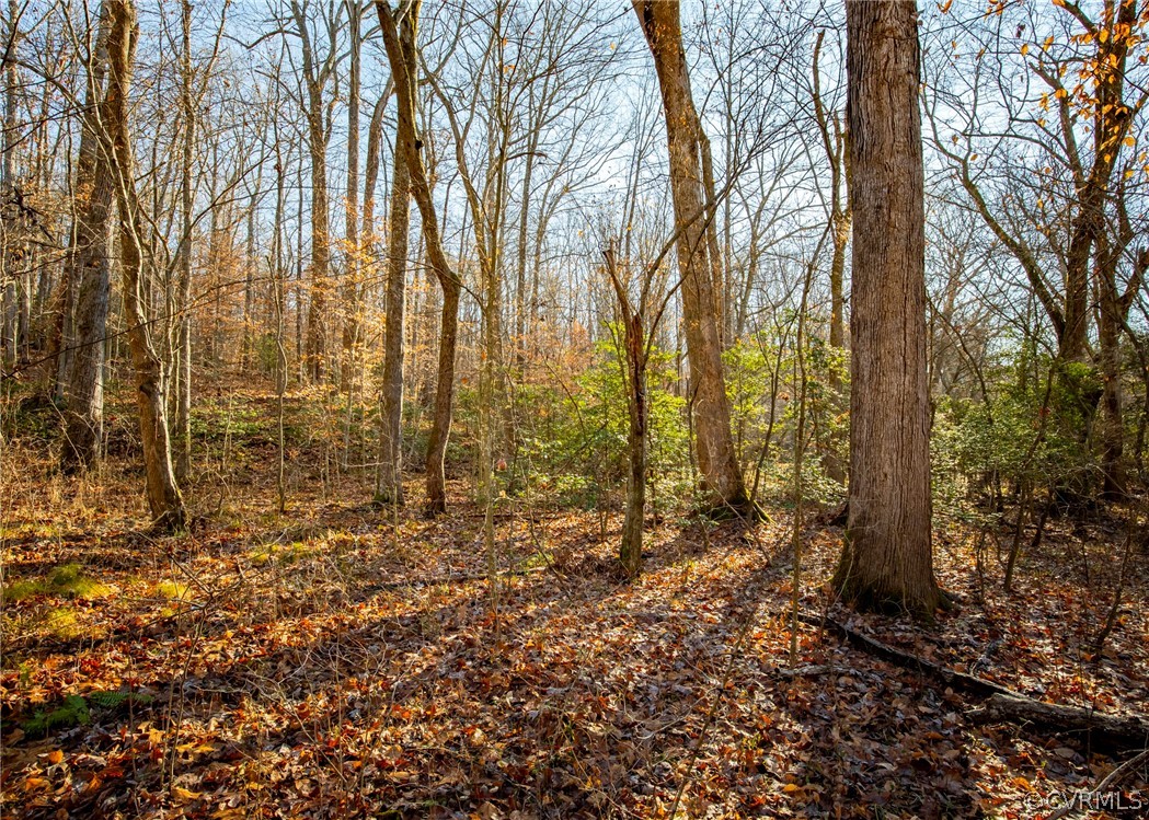 Lot 1 Hewlett Road Beaverdam, VA 23015 - Photo 12 of 24