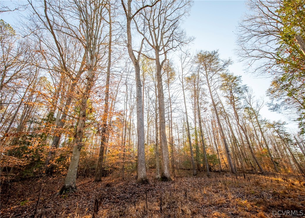 Lot 1 Hewlett Road Beaverdam, VA 23015 - Photo 13 of 24