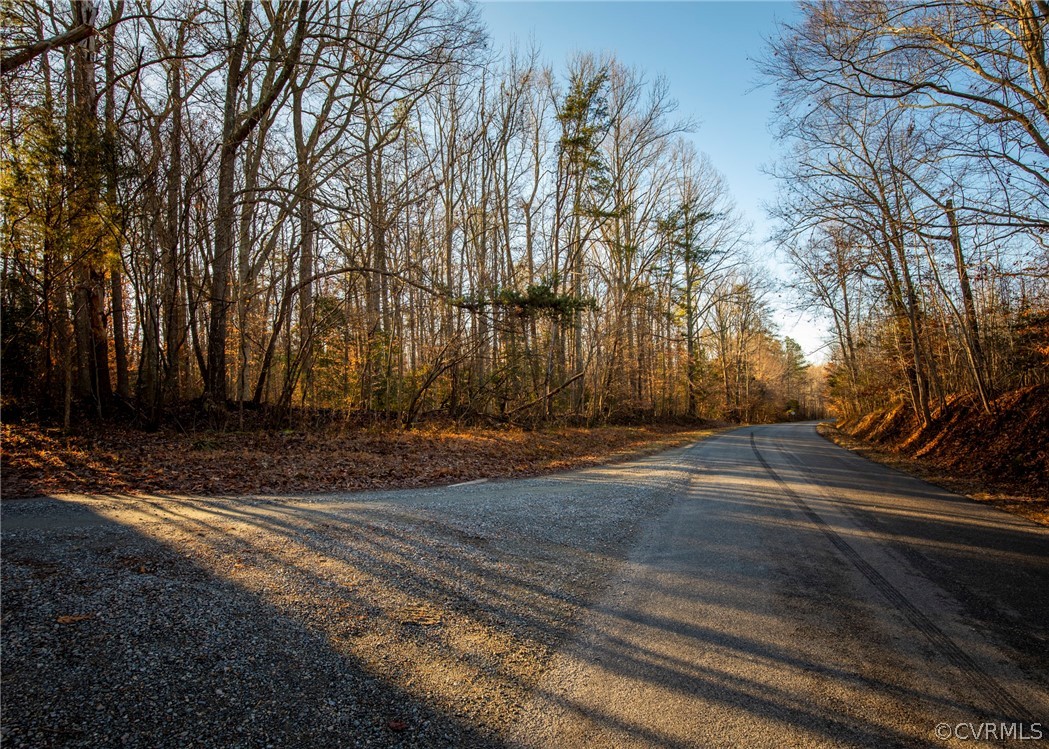 Lot 1 Hewlett Road Beaverdam, VA 23015 - Photo 14 of 24