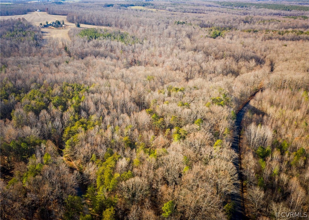 Lot 1 Hewlett Road Beaverdam, VA 23015 - Photo 15 of 24