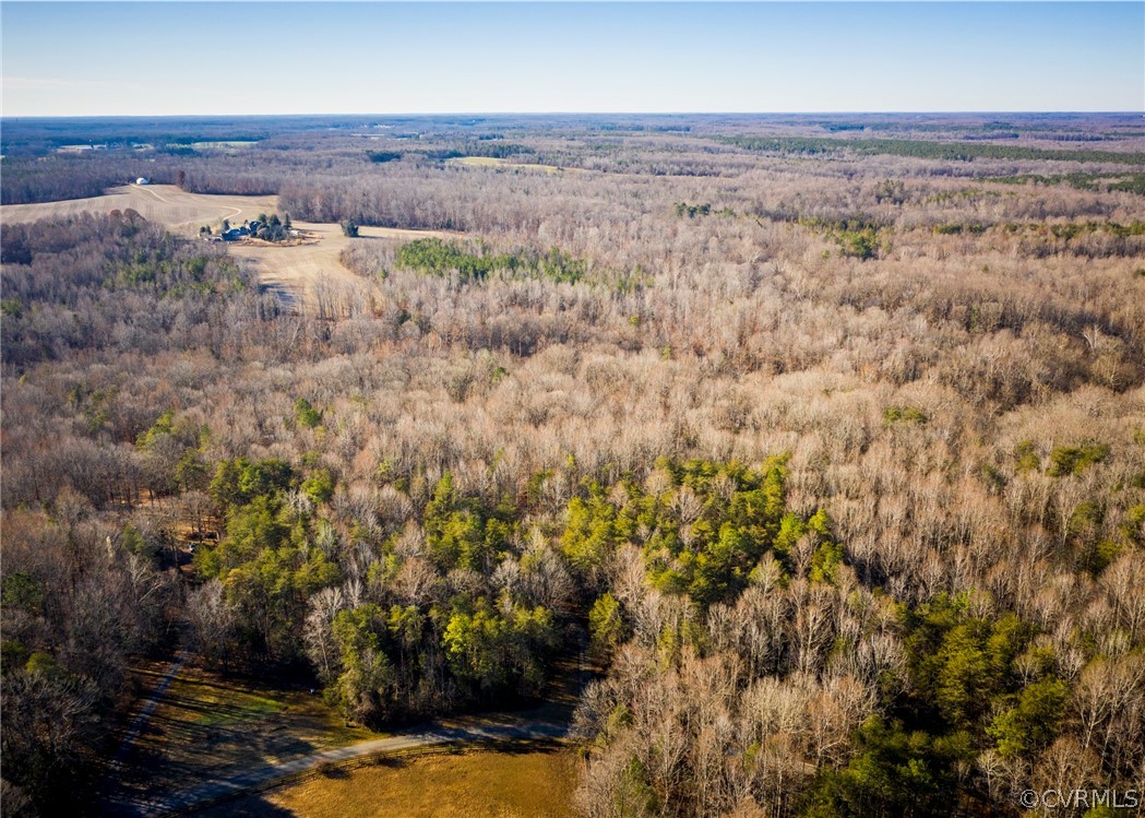 Lot 1 Hewlett Road Beaverdam, VA 23015 - Photo 16 of 24