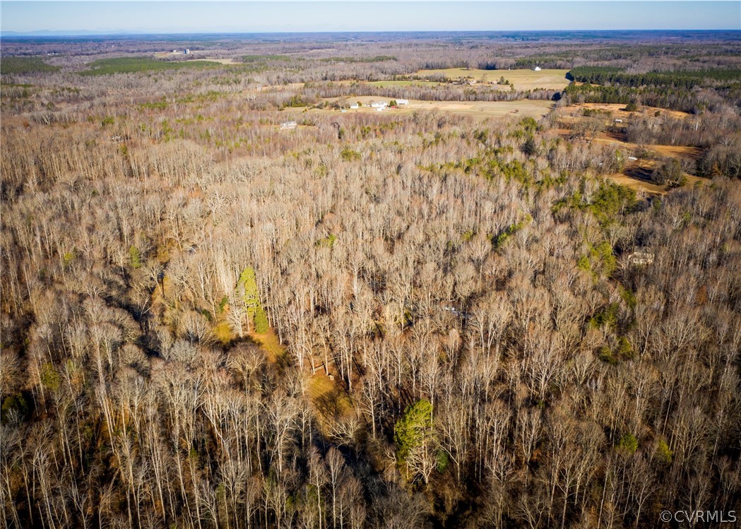 Lot 1 Hewlett Road Beaverdam, VA 23015 - Photo 17 of 24
