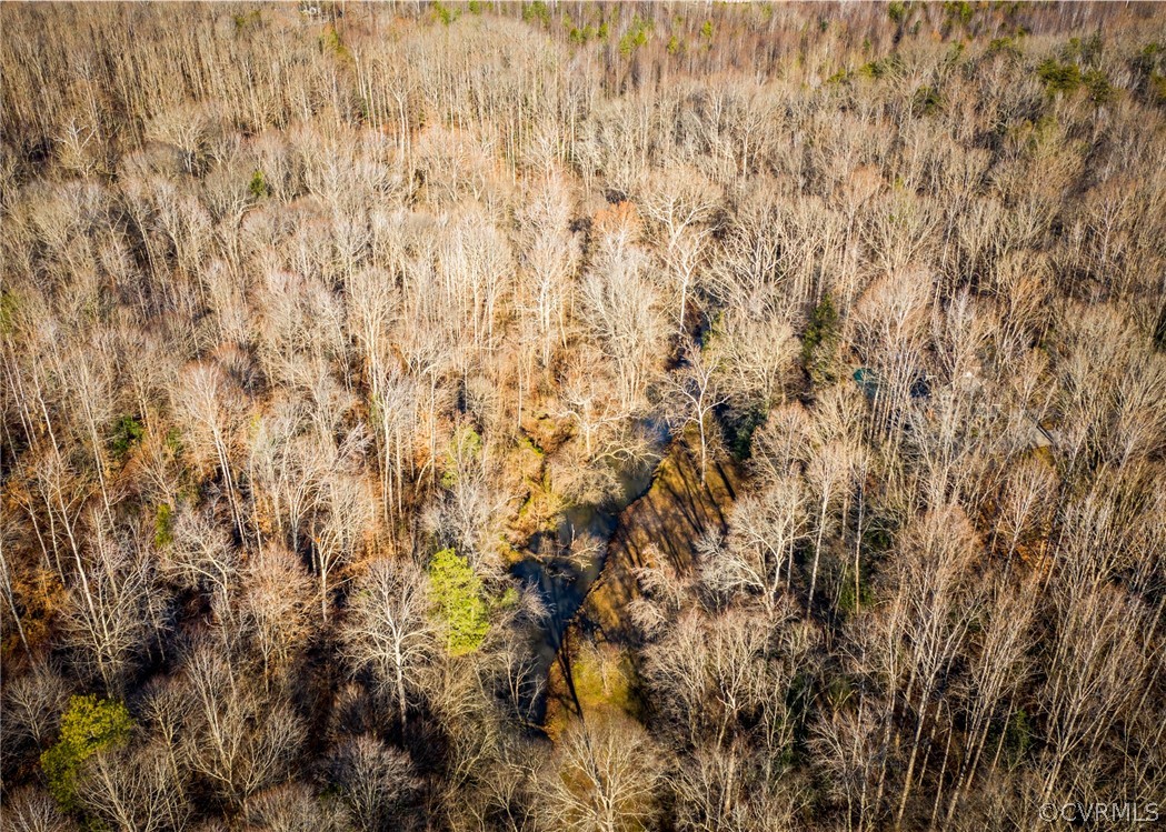 Lot 1 Hewlett Road Beaverdam, VA 23015 - Photo 19 of 24