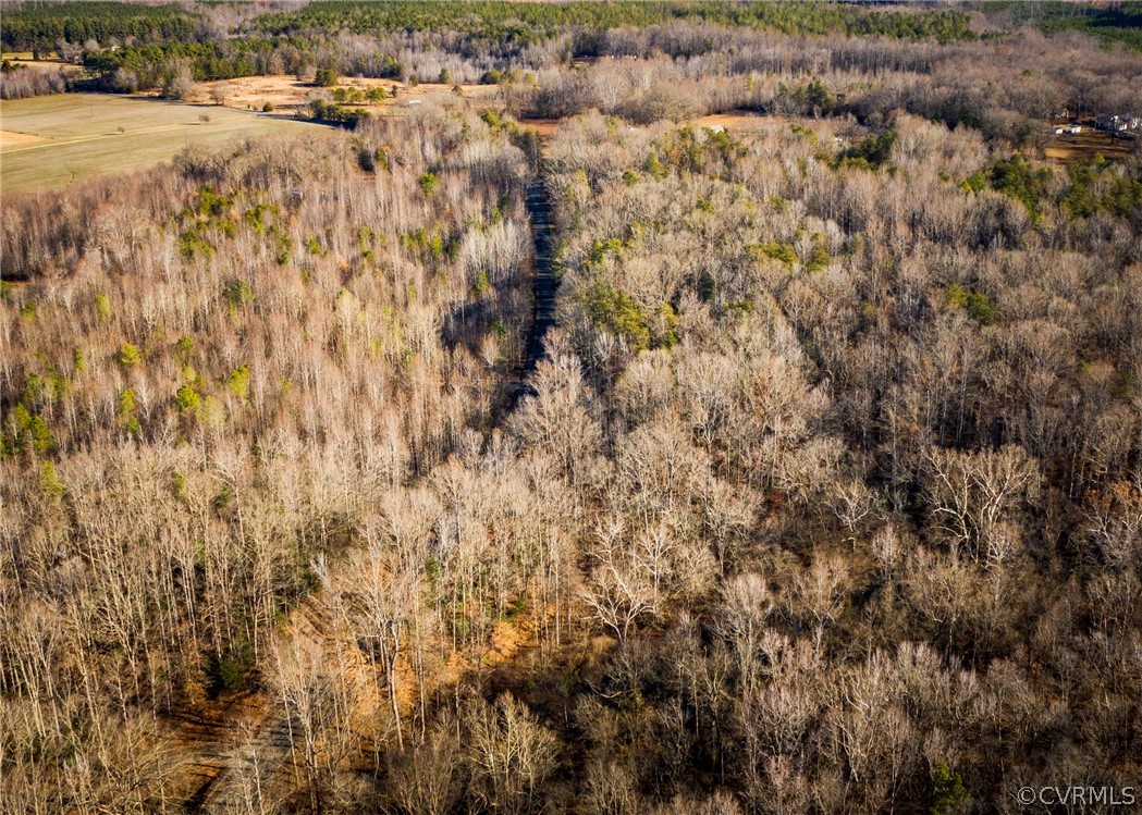 Lot 1 Hewlett Road Beaverdam, VA 23015 - Photo 20 of 24