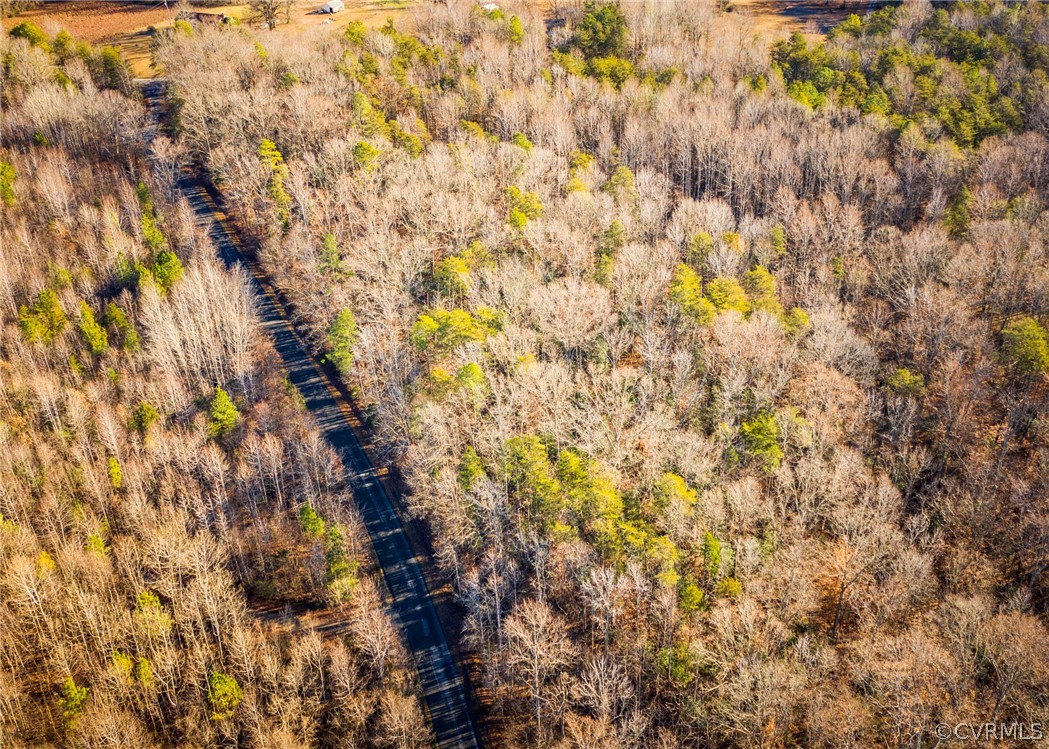 Lot 1 Hewlett Road Beaverdam, VA 23015 - Photo 22 of 24
