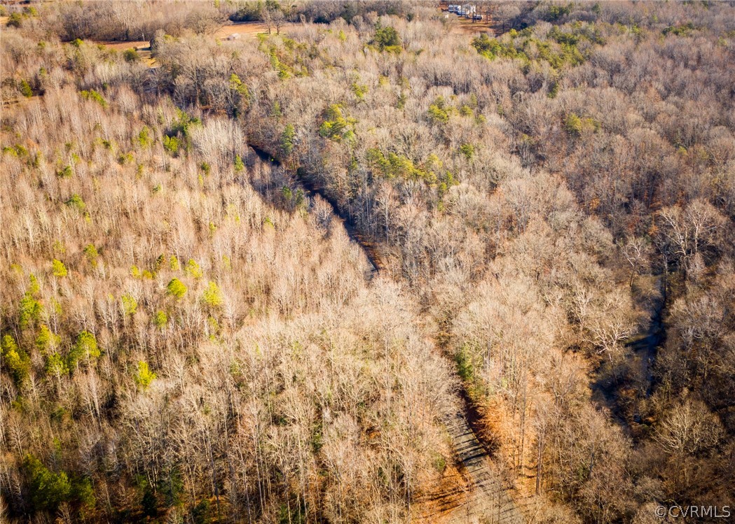 Lot 1 Hewlett Road Beaverdam, VA 23015 - Photo 23 of 24