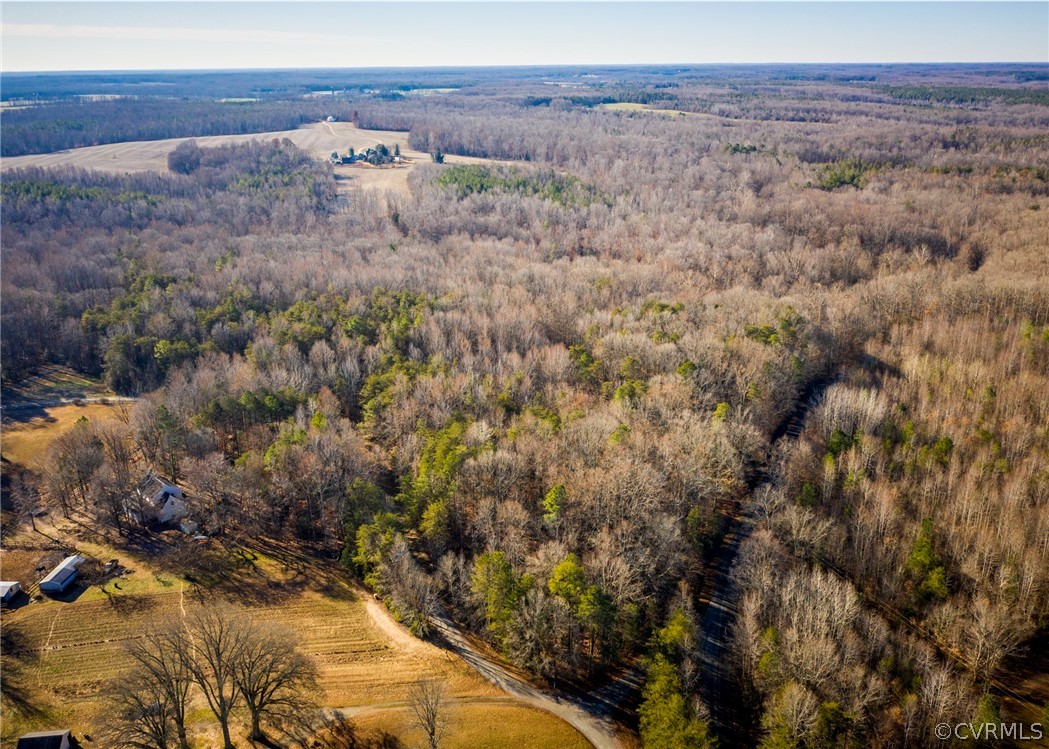 Lot 1 Hewlett Road Beaverdam, VA 23015 - Photo 4 of 24