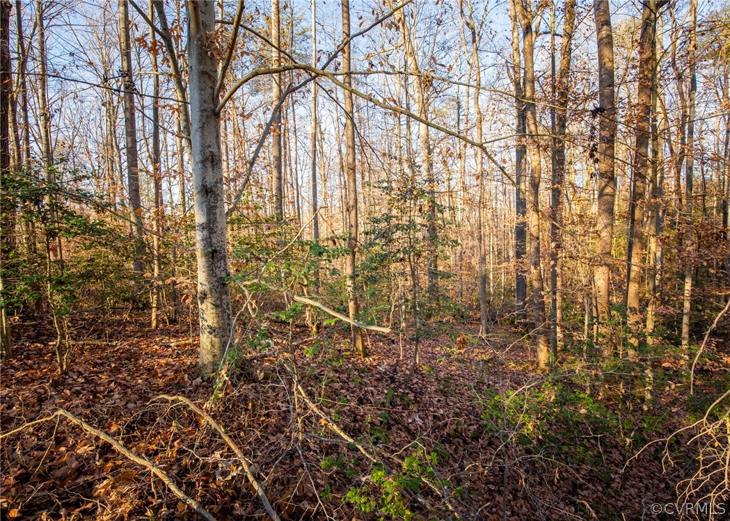 Lot 1 Hewlett Road Beaverdam, VA 23015 - Photo 5 of 24