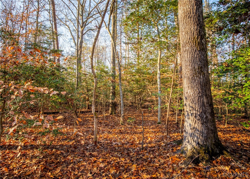 Lot 1 Hewlett Road Beaverdam, VA 23015 - Photo 6 of 24