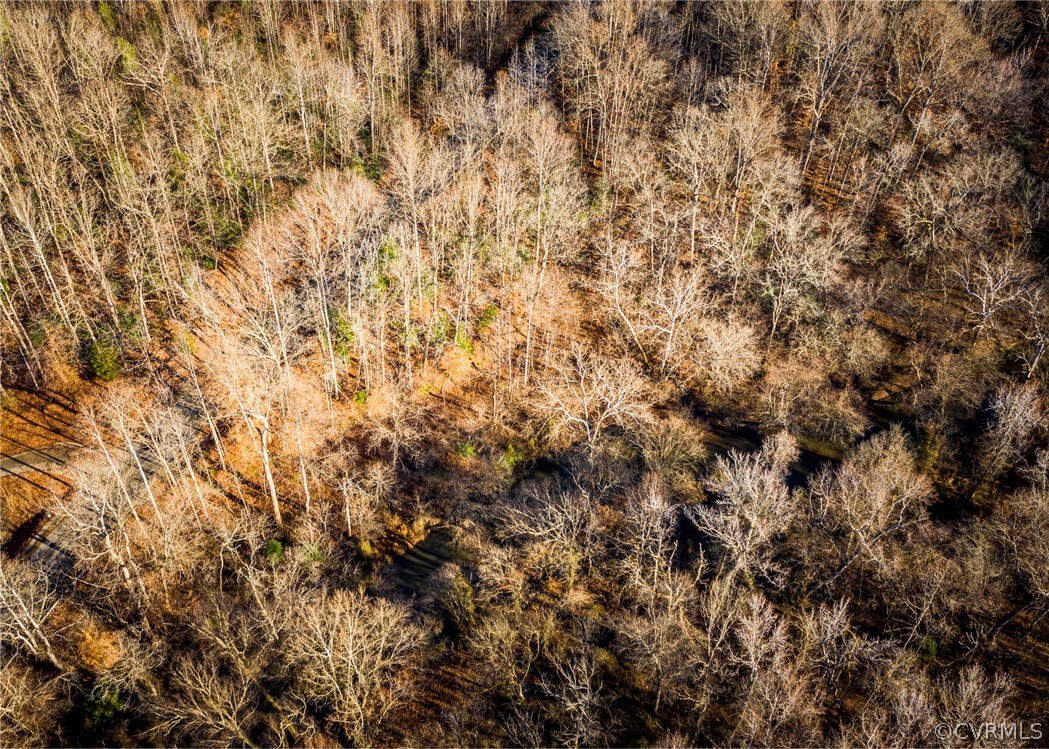 Lot 1 Hewlett Road Beaverdam, VA 23015 - Photo 7 of 24