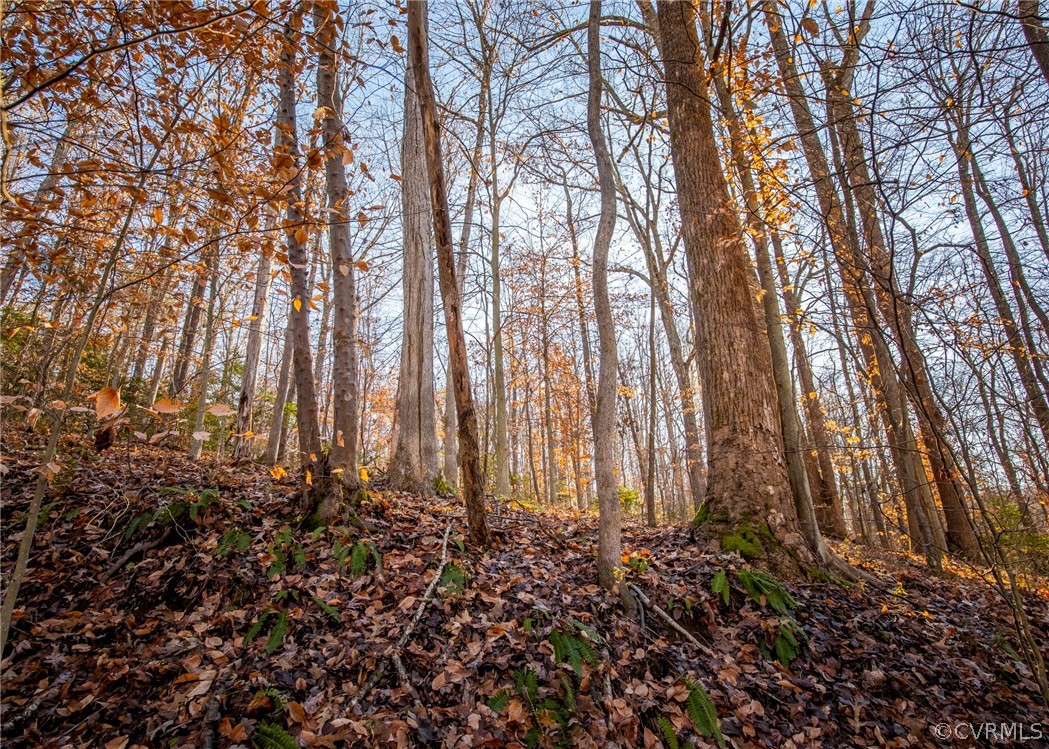 Lot 1 Hewlett Road Beaverdam, VA 23015 - Photo 8 of 24