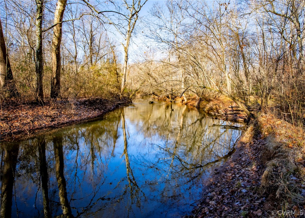 Lot 1 Hewlett Road Beaverdam, VA 23015 - Photo 9 of 24