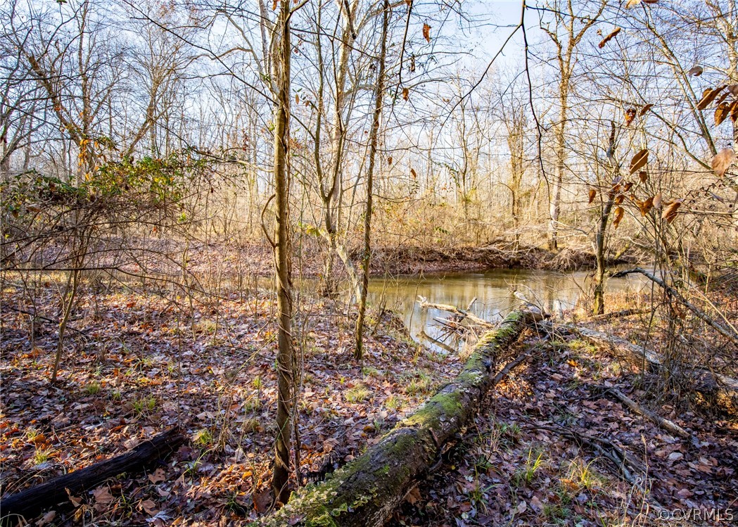 Lot 1 Hewlett Road Beaverdam, VA 23015 - Photo 10 of 24
