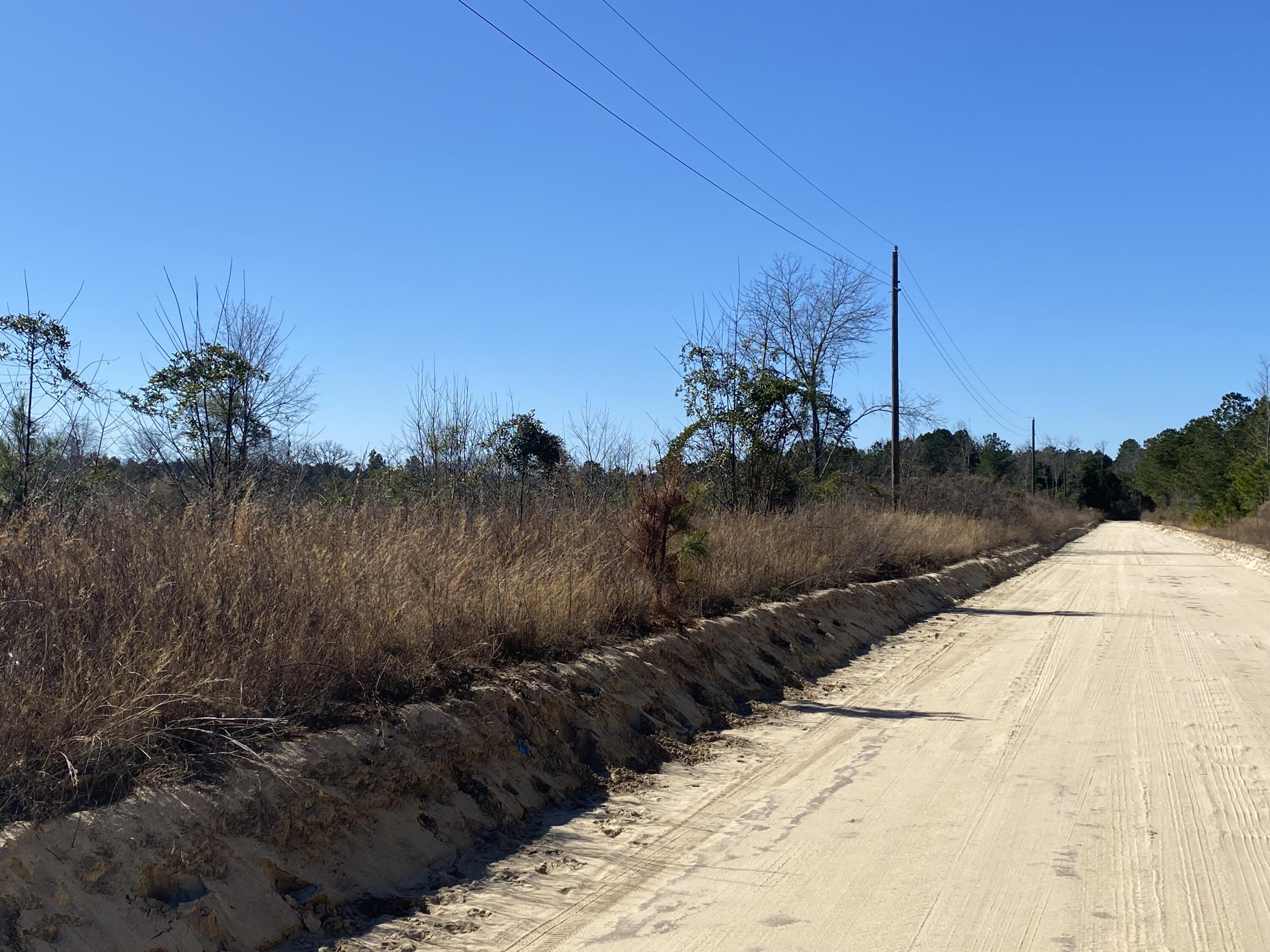 Lot 4 Old Shoals Road Monetta, SC 29105 - Photo 13 of 18