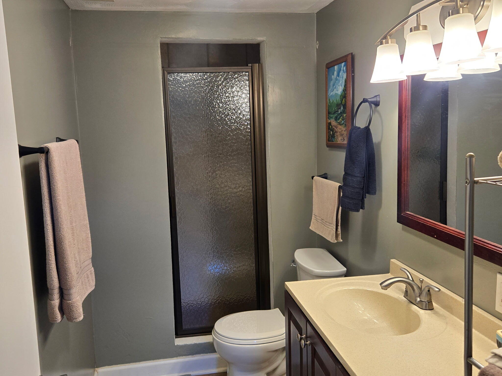 4003 Webbs Mill Road North Riner, VA 24149 - Photo 52 of 70 a bathroom with a sink toilet and shower