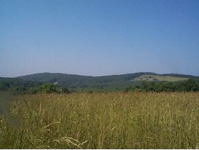 Tbd Pisgah Road Middlebrook, VA 24459 - Photo 4 of 4 a view of lake and mountain