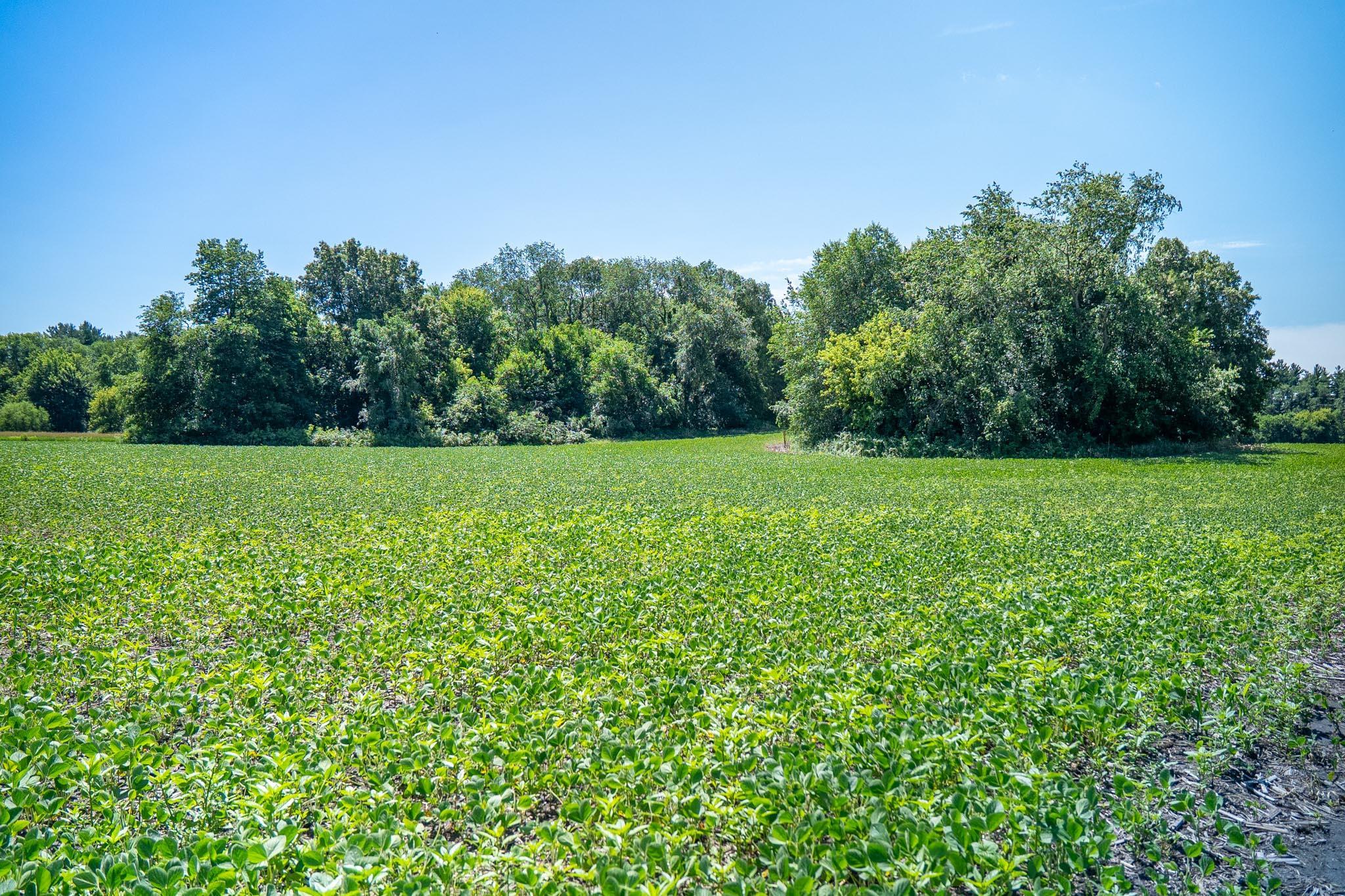 0 Inlet Road Amboy, IL 61310 - Photo 65 of 83