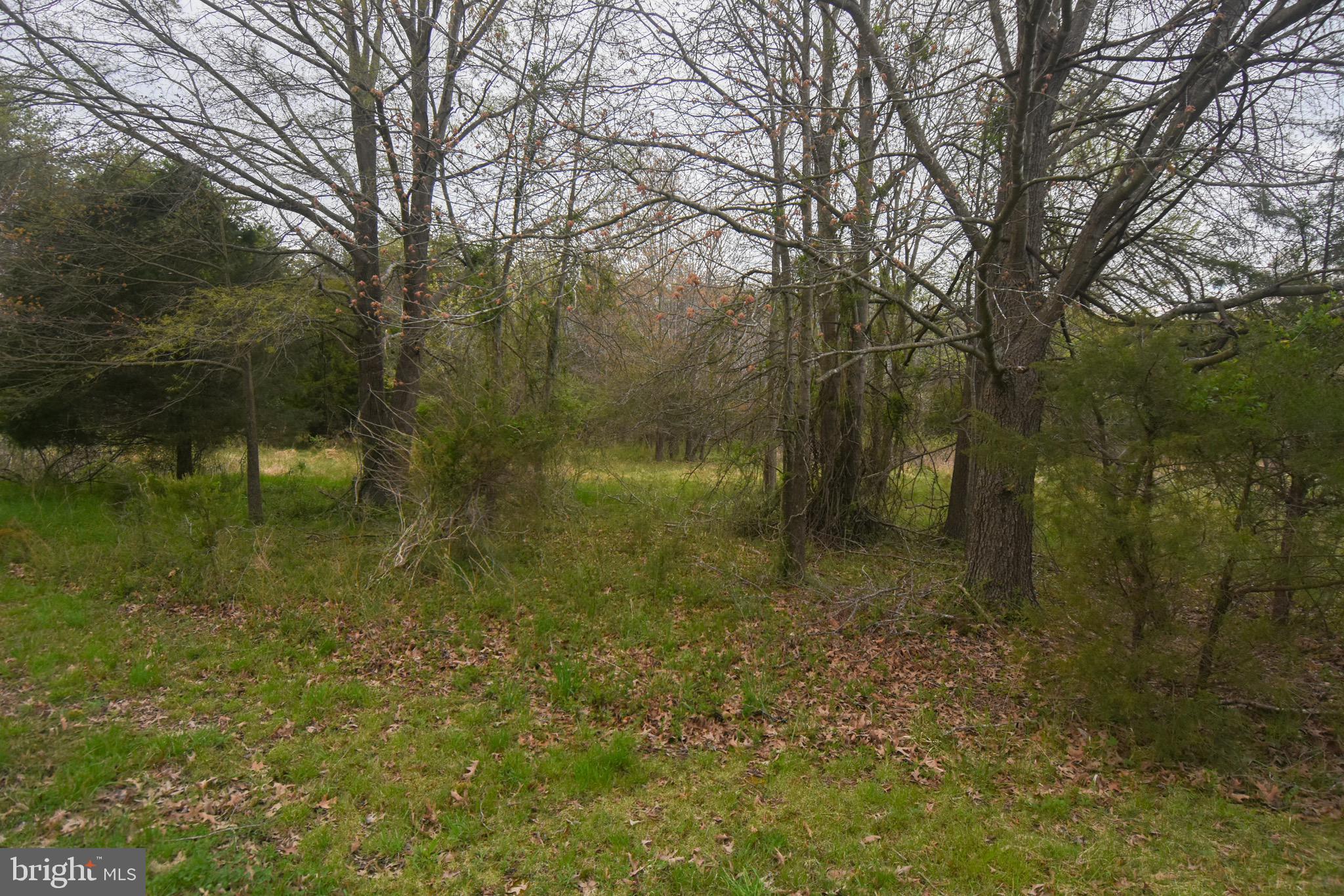 Unknown La Plata Road La Plata, MD 20646 - Photo 5 of 12