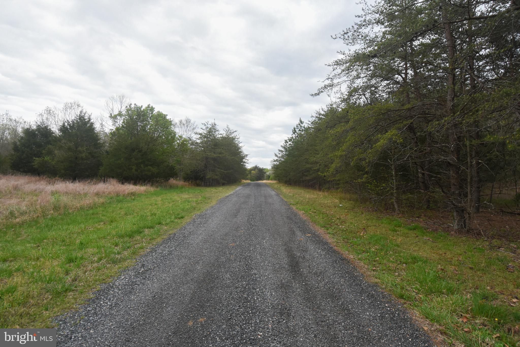 Unknown La Plata Road La Plata, MD 20646 - Photo 10 of 12