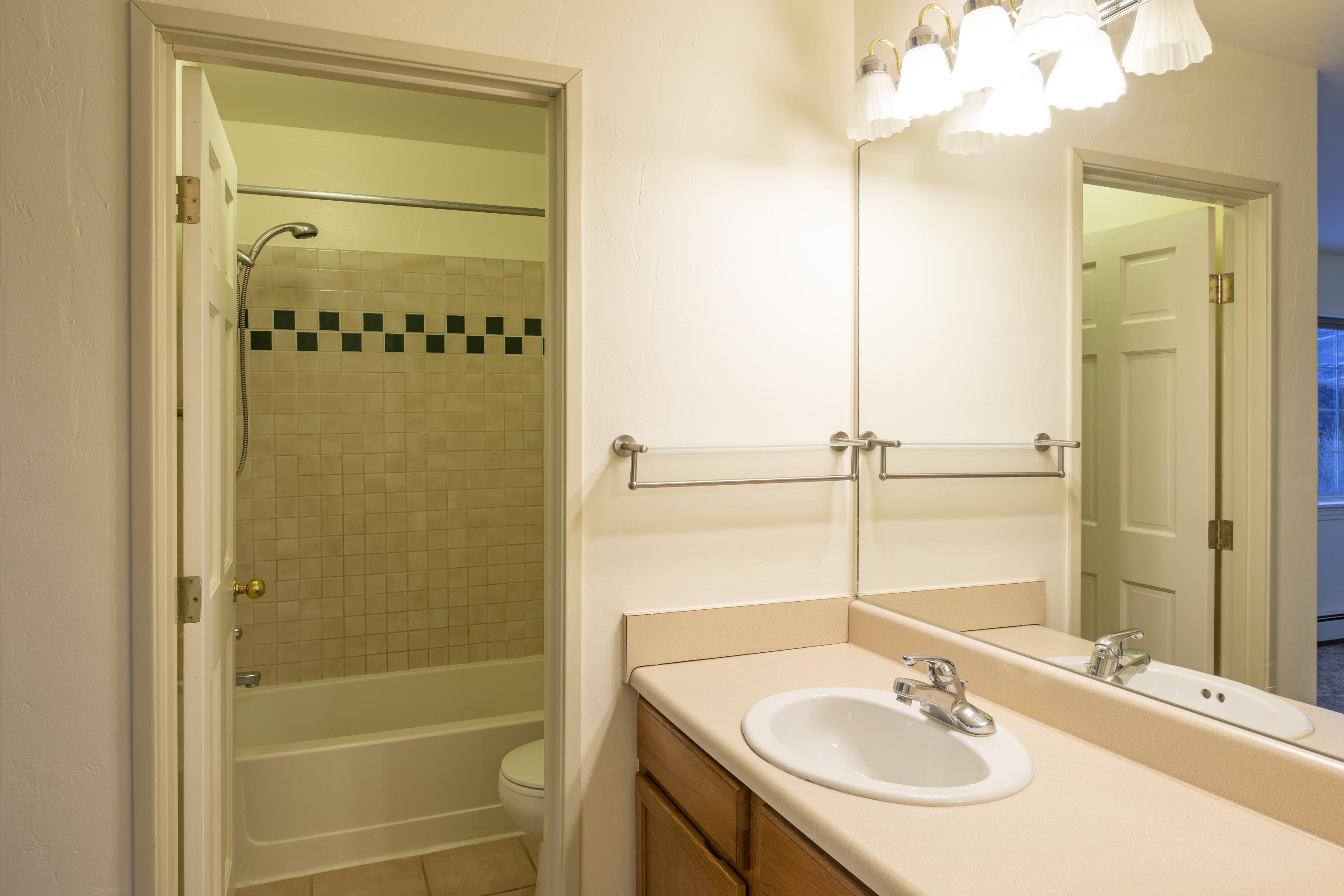 302 Adams Ranch Road, Unit 4 Mountain Village, CO 81435 - Photo 12 of 25 MBath
