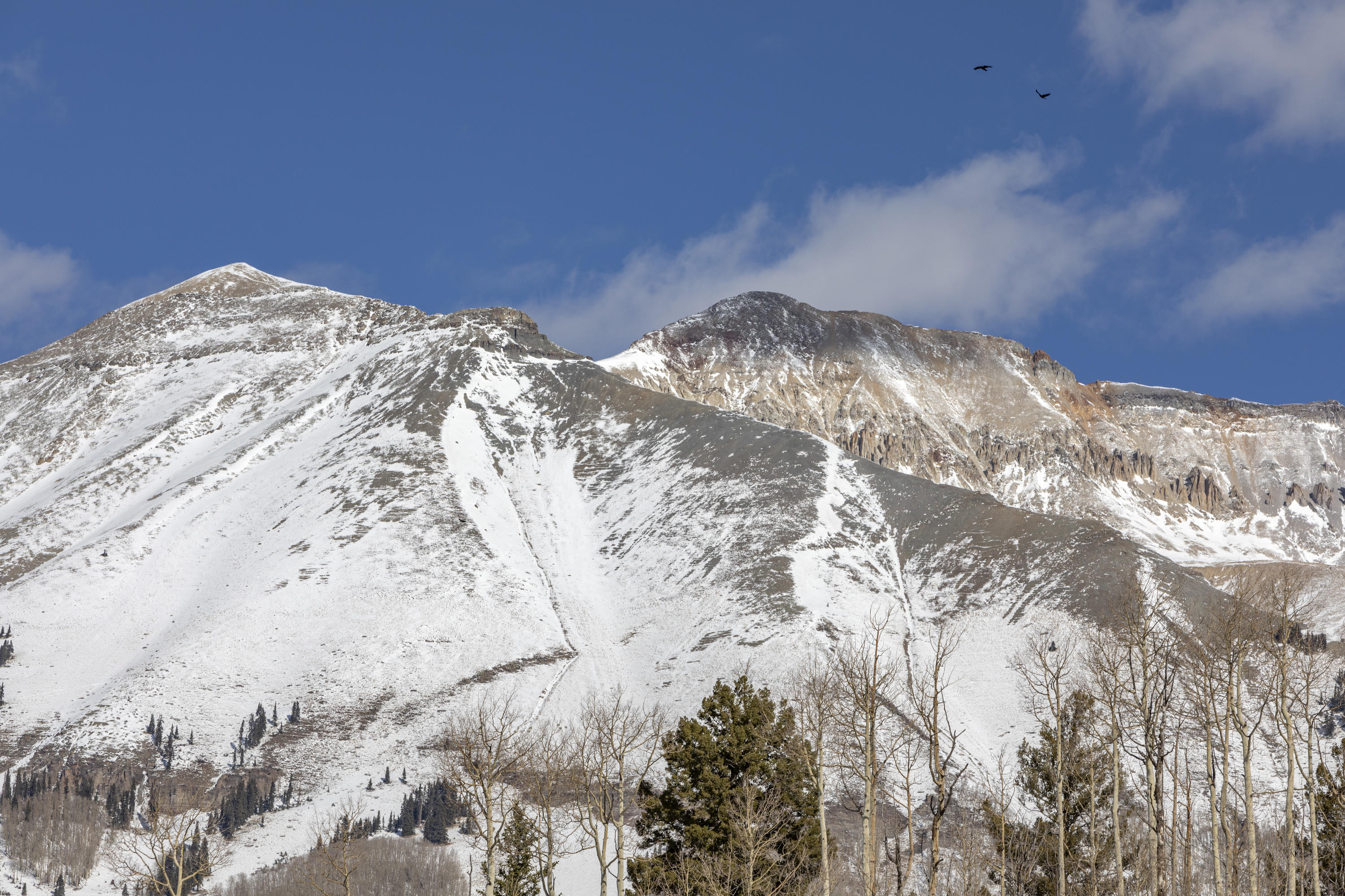 302 Adams Ranch Road, Unit 4 Mountain Village, CO 81435 - Photo 19 of 25 CampbellCrows