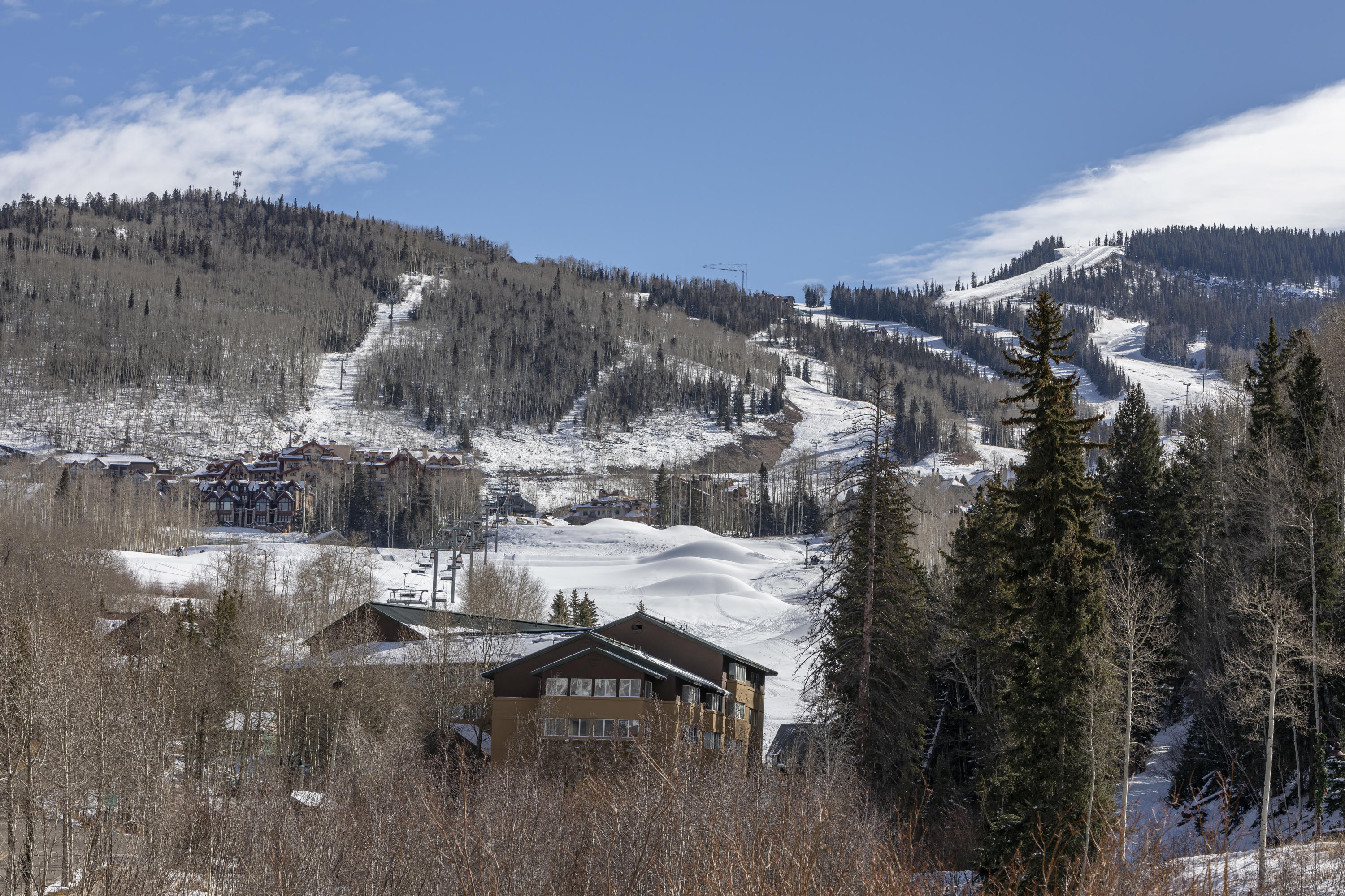 302 Adams Ranch Road, Unit 4 Mountain Village, CO 81435 - Photo 20 of 25 SkiArea