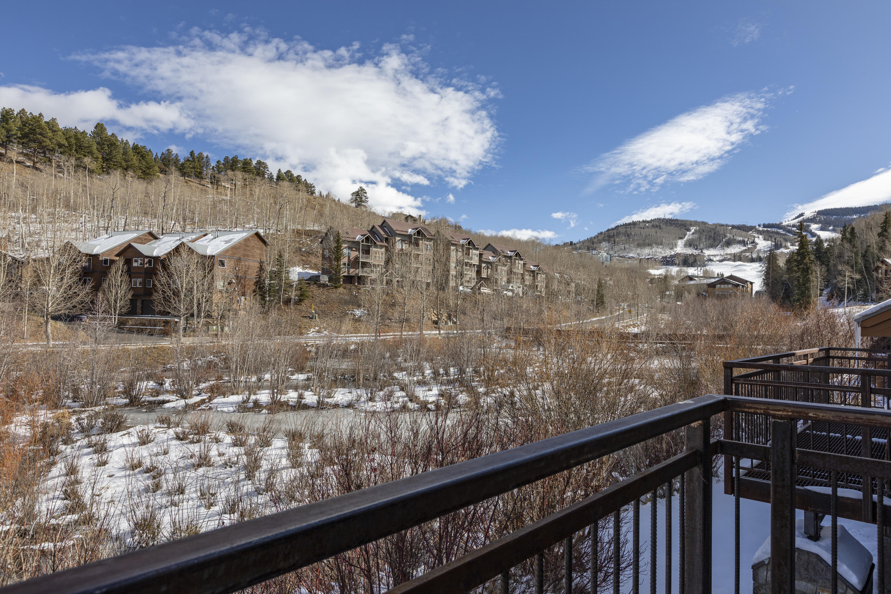 302 Adams Ranch Road, Unit 4 Mountain Village, CO 81435 - Photo 23 of 25 DeckSkiArea