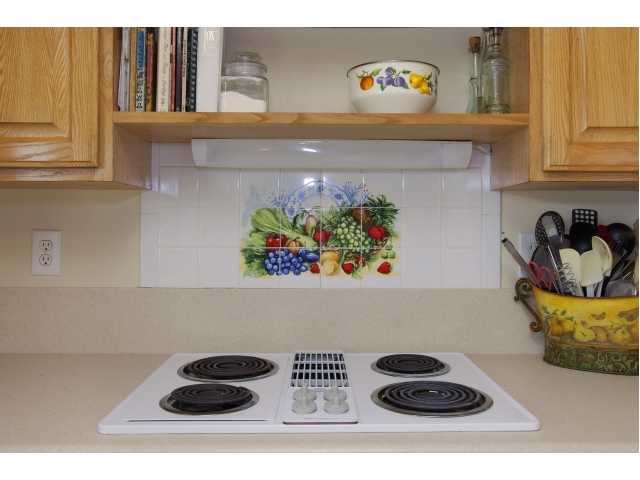 449 Via Ultimo Encinitas, CA 92024 - Photo 8 of 25 Gallery Image 8