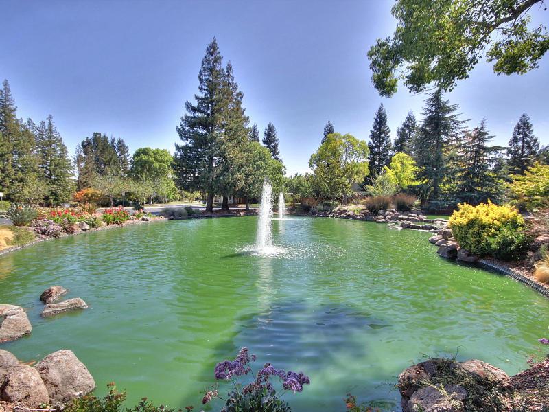 11677 Palm Spring Court Cupertino, CA 95014 - Photo 28 of 32