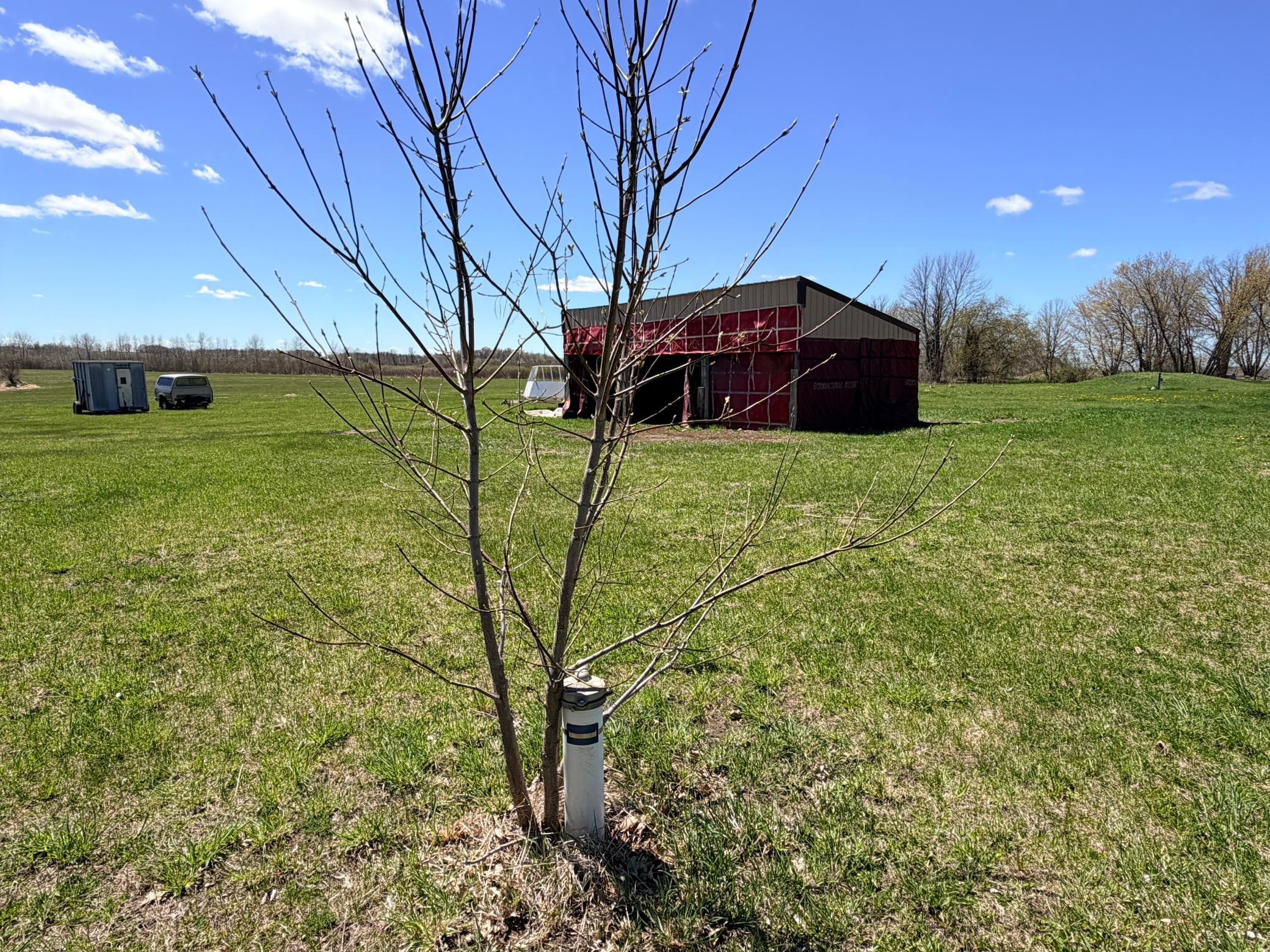 62362 450th Street Sebeka, MN 56477 - Photo 11 of 15