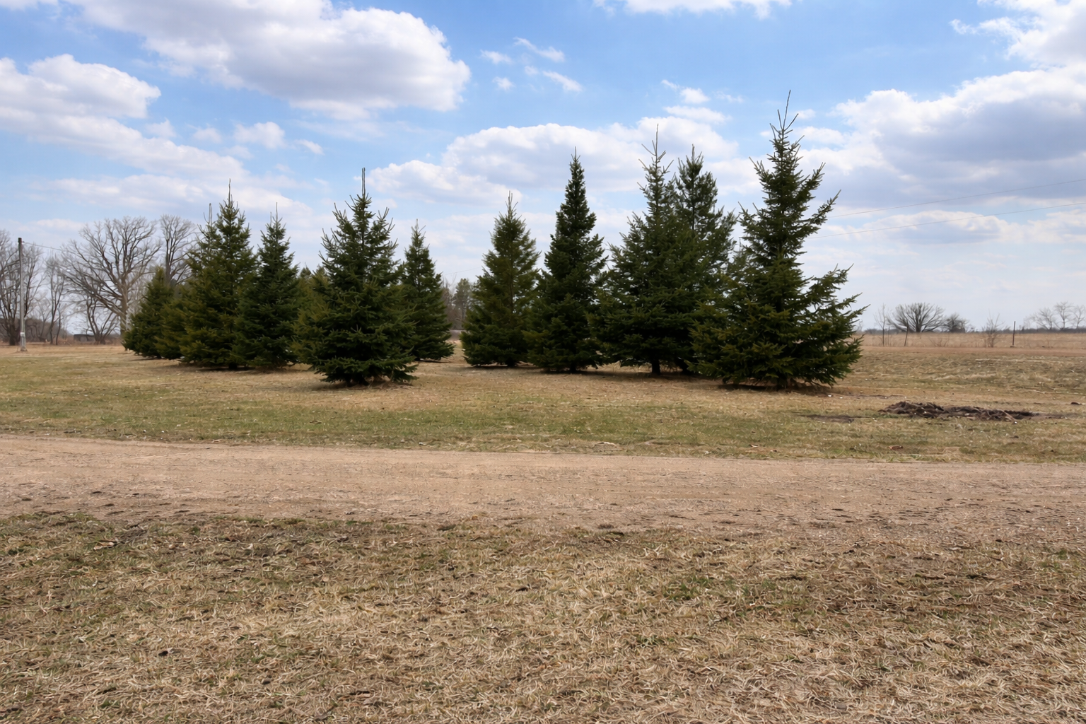 62362 450th Street Sebeka, MN 56477 - Photo 12 of 13