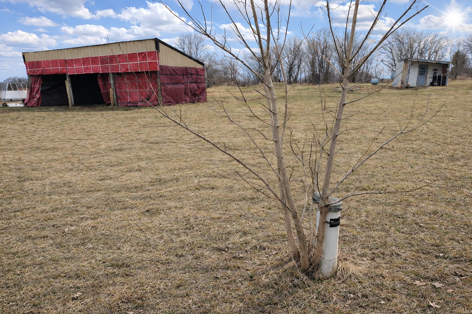 62362 450th Street Sebeka, MN 56477 - Photo 3 of 13