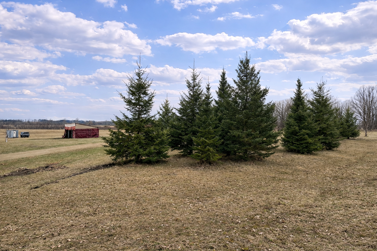 62362 450th Street Sebeka, MN 56477 - Photo 8 of 13