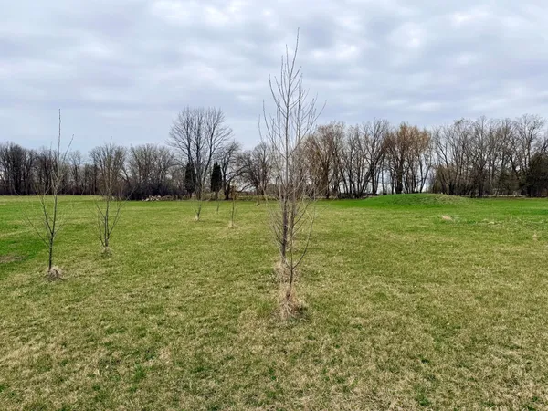 $80,000 | 62362 450th Street, Sebeka, MN 56477
