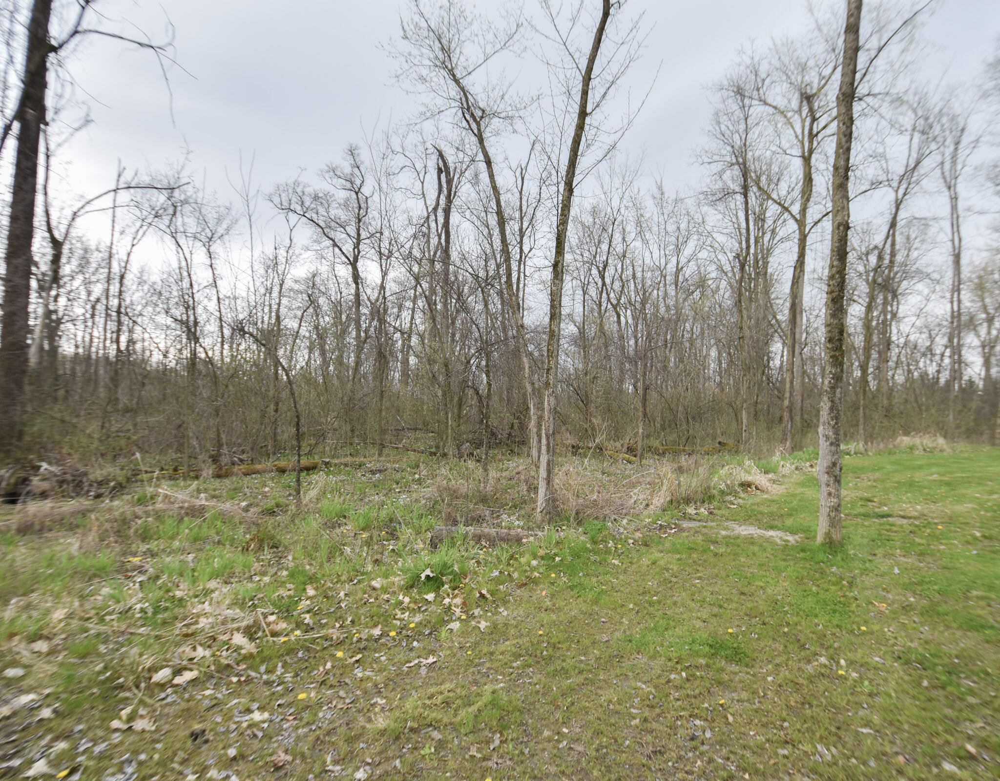 935 Phillip Road Montgomery, MI 49255 - Photo 11 of 49 DSC_0108
