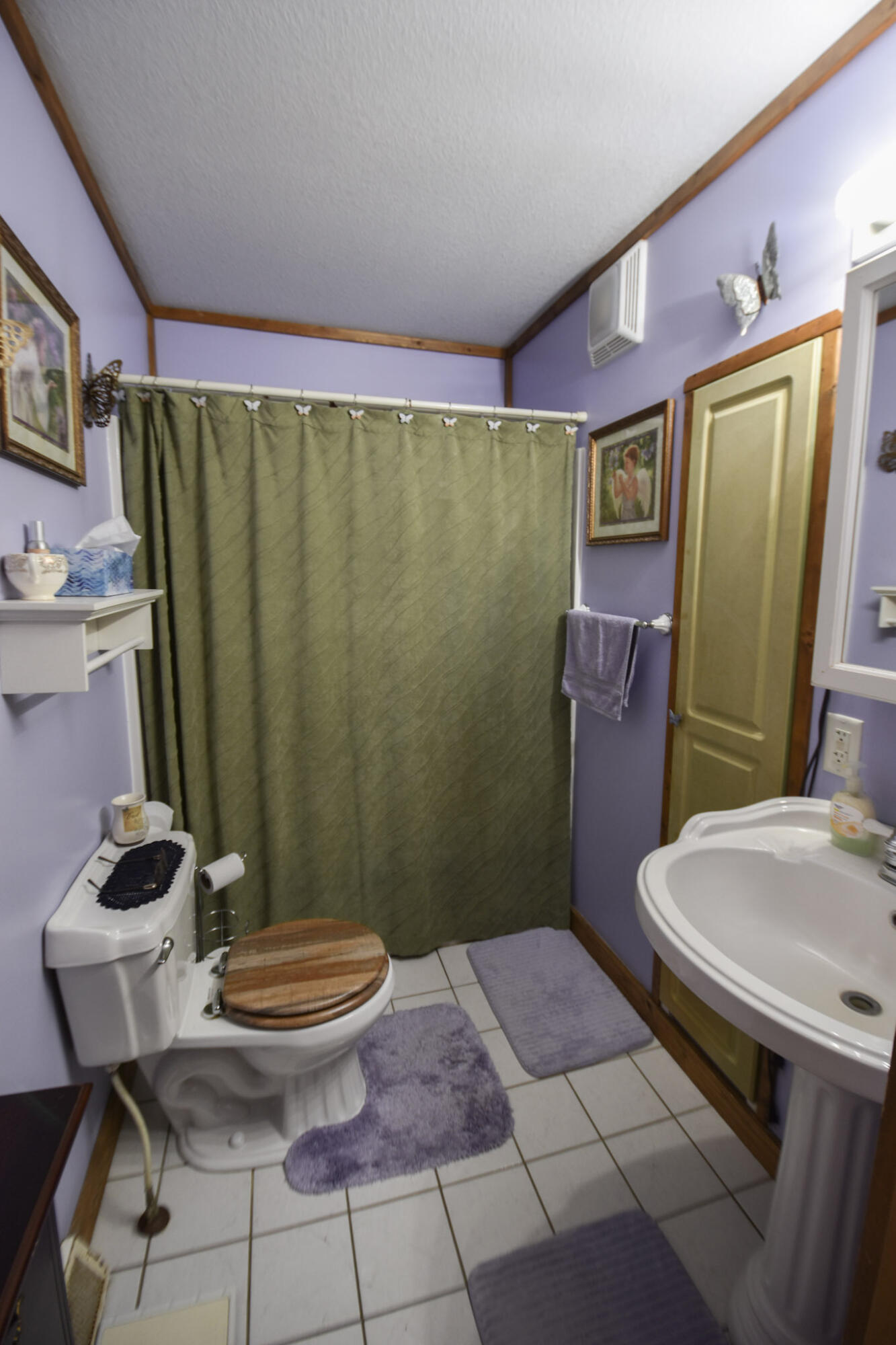935 Phillip Road Montgomery, MI 49255 - Photo 27 of 49 DSC_0181