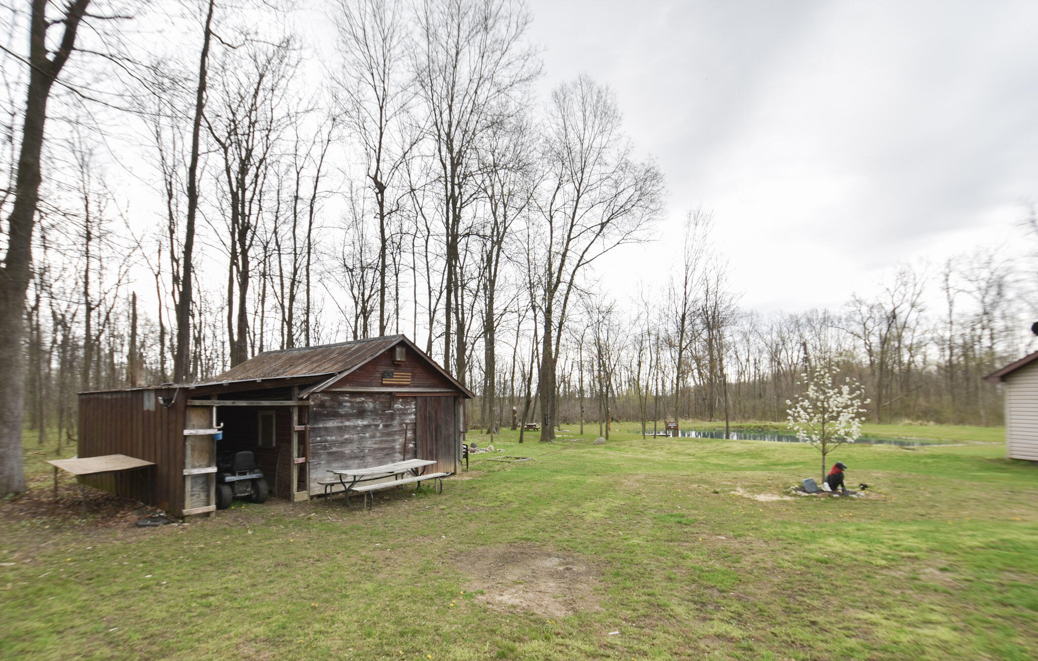 935 Phillip Road Montgomery, MI 49255 - Photo 47 of 49 DSC_0095
