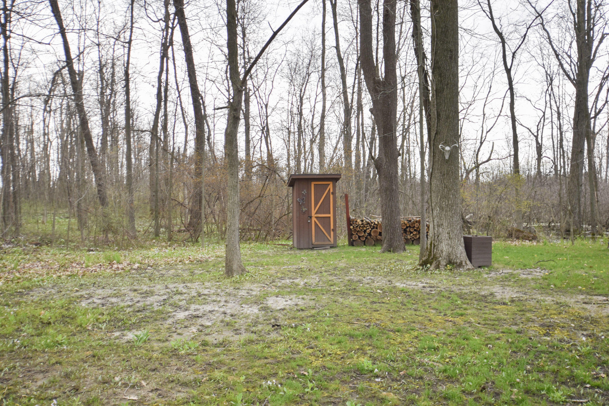 935 Phillip Road Montgomery, MI 49255 - Photo 8 of 49 DSC_0102