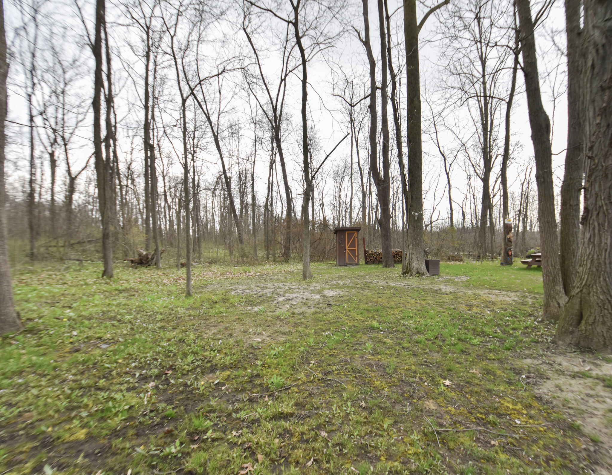 935 Phillip Road Montgomery, MI 49255 - Photo 9 of 49 DSC_0101