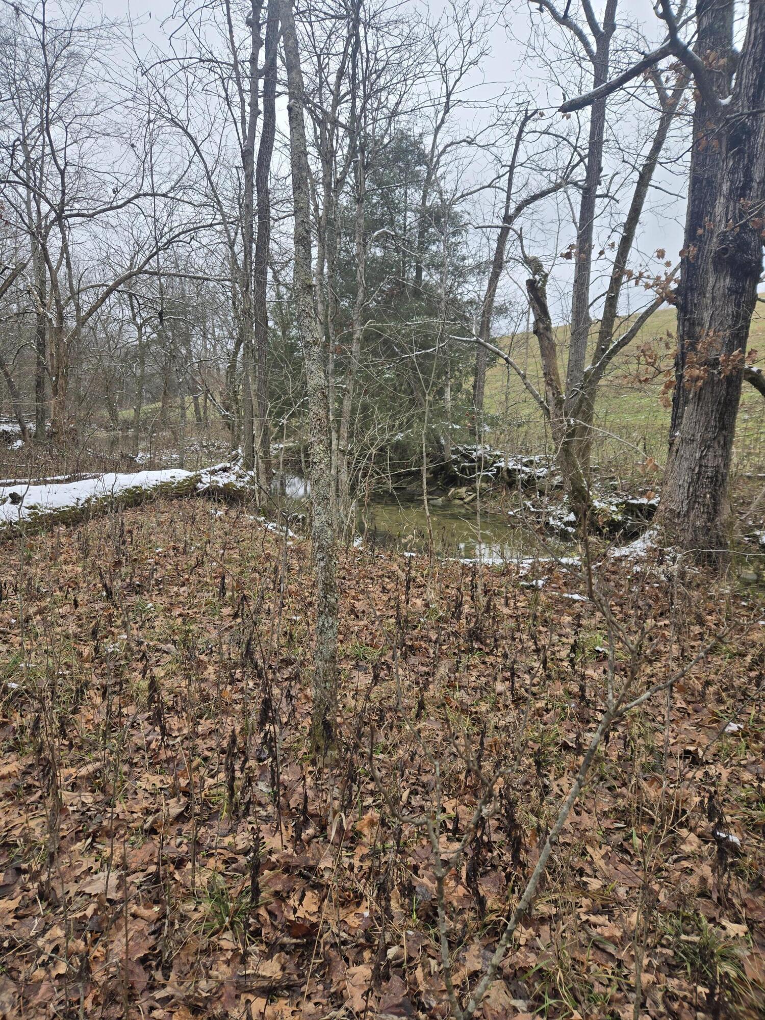 0 Baxter Ridge Road Lawrenceburg, KY 40342 - Photo 21 of 32 20251206_122835
