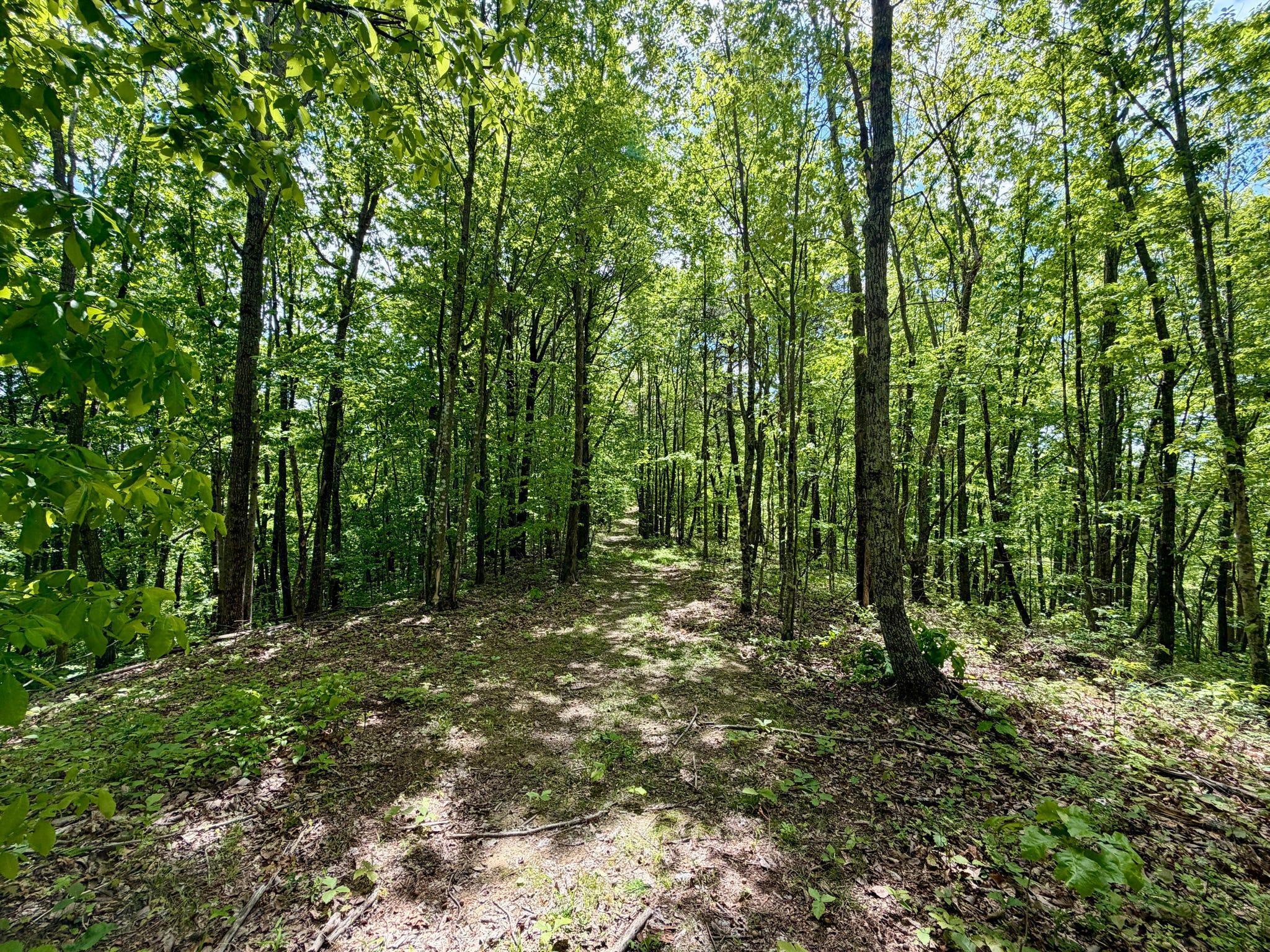 100 A Open Fork Road Morehead, KY 40351 - Photo 15 of 75 Trails