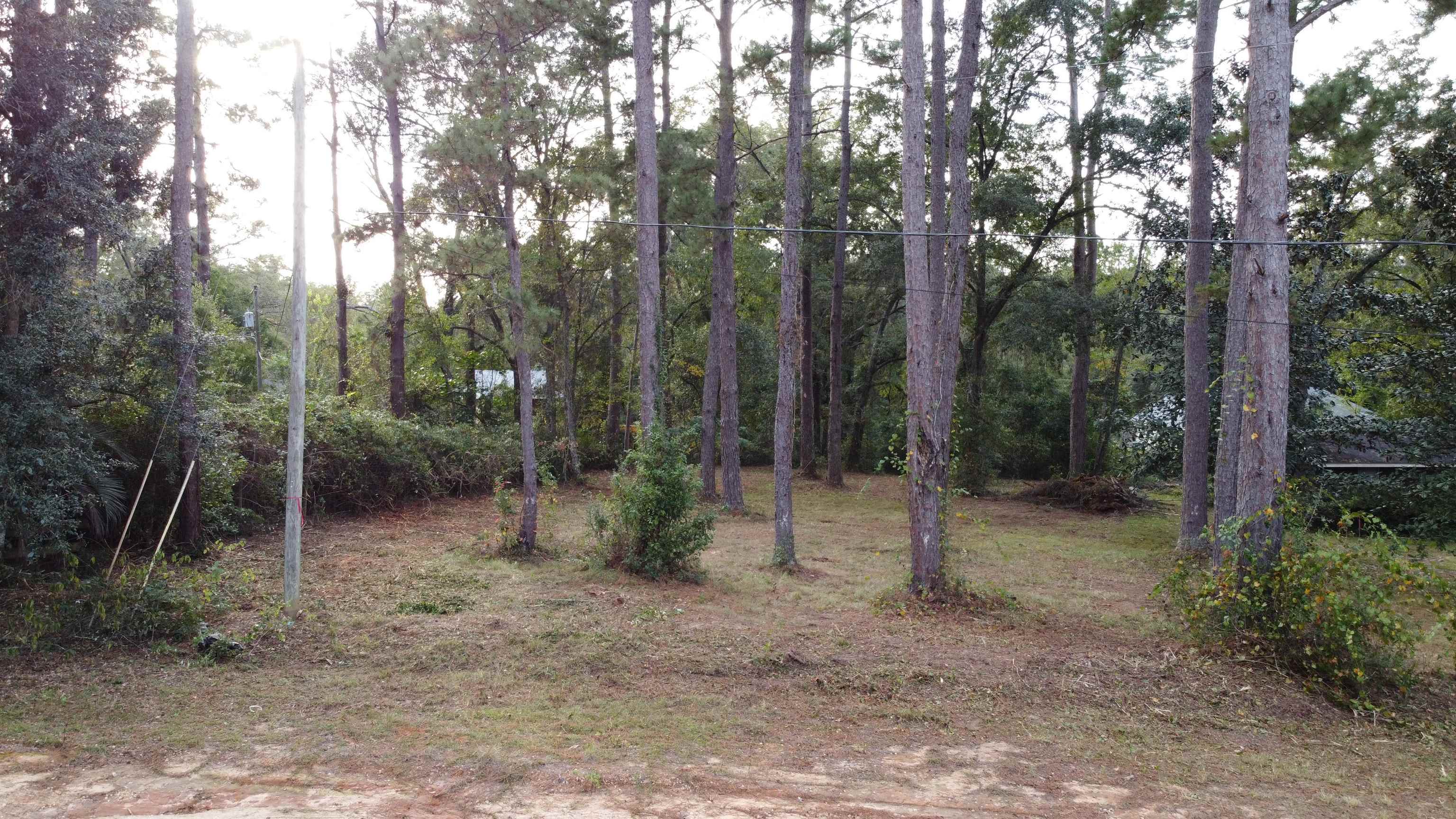 0 Frontier Road Tallahassee, FL 32309 - Photo 3 of 8