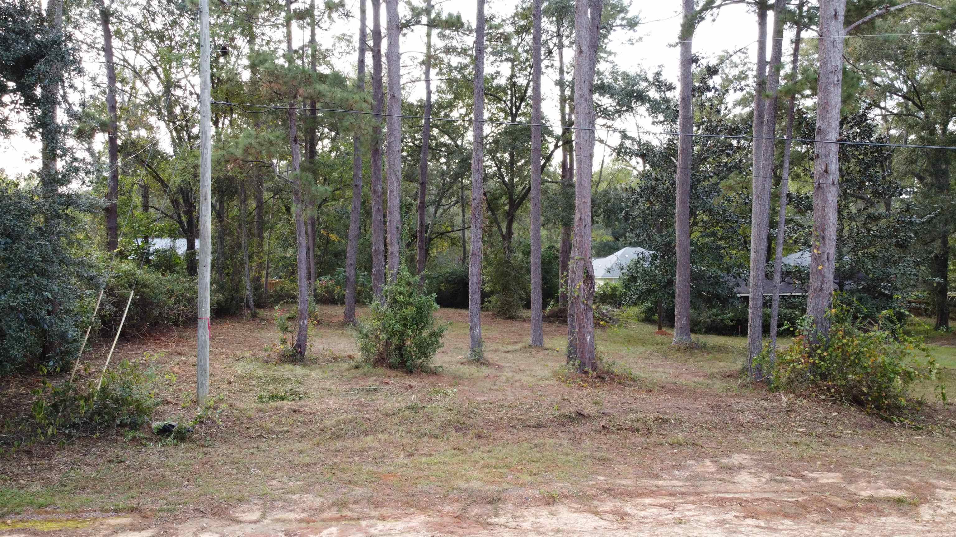 0 Frontier Road Tallahassee, FL 32309 - Photo 4 of 8
