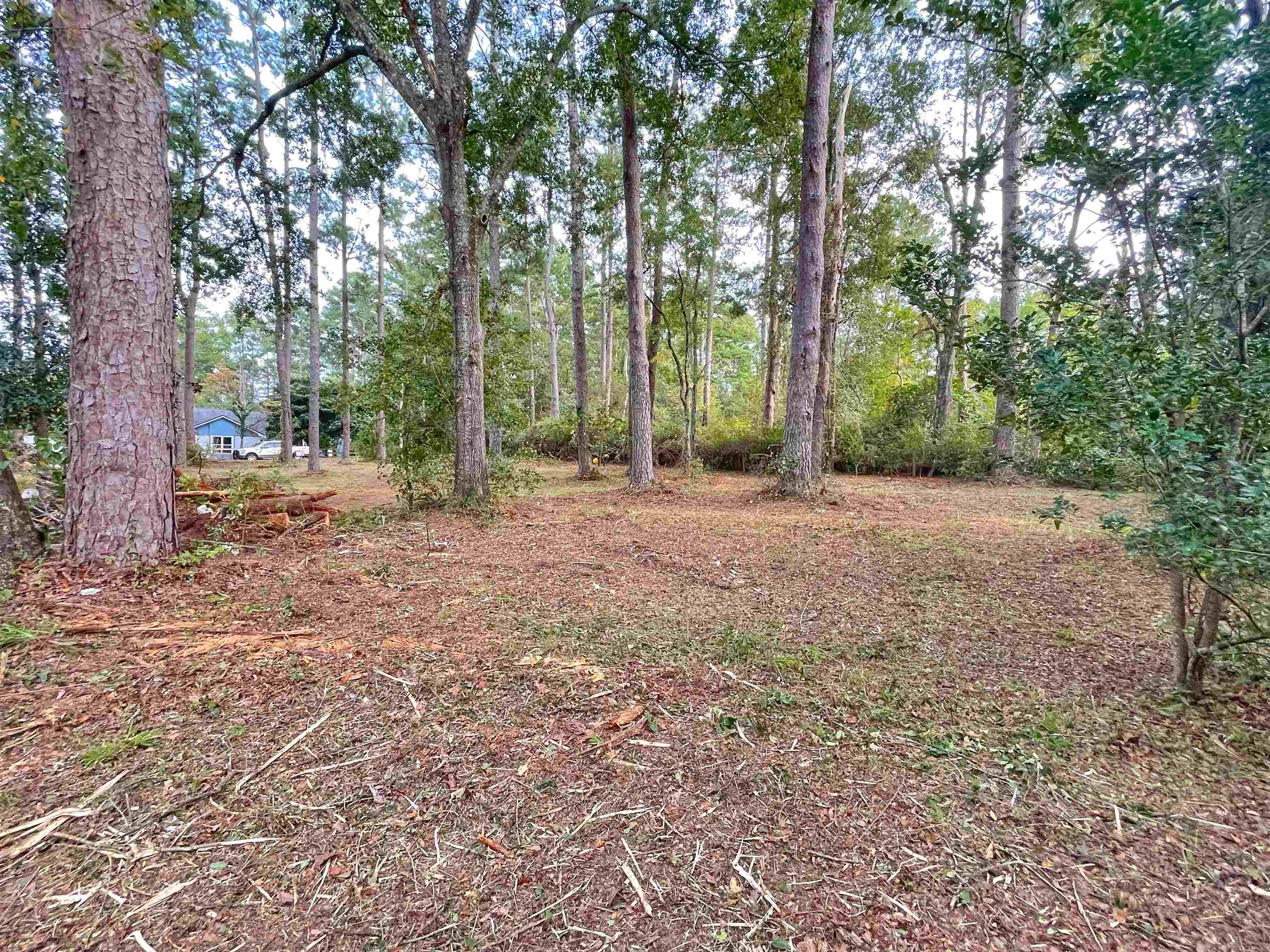 0 Frontier Road Tallahassee, FL 32309 - Photo 5 of 8