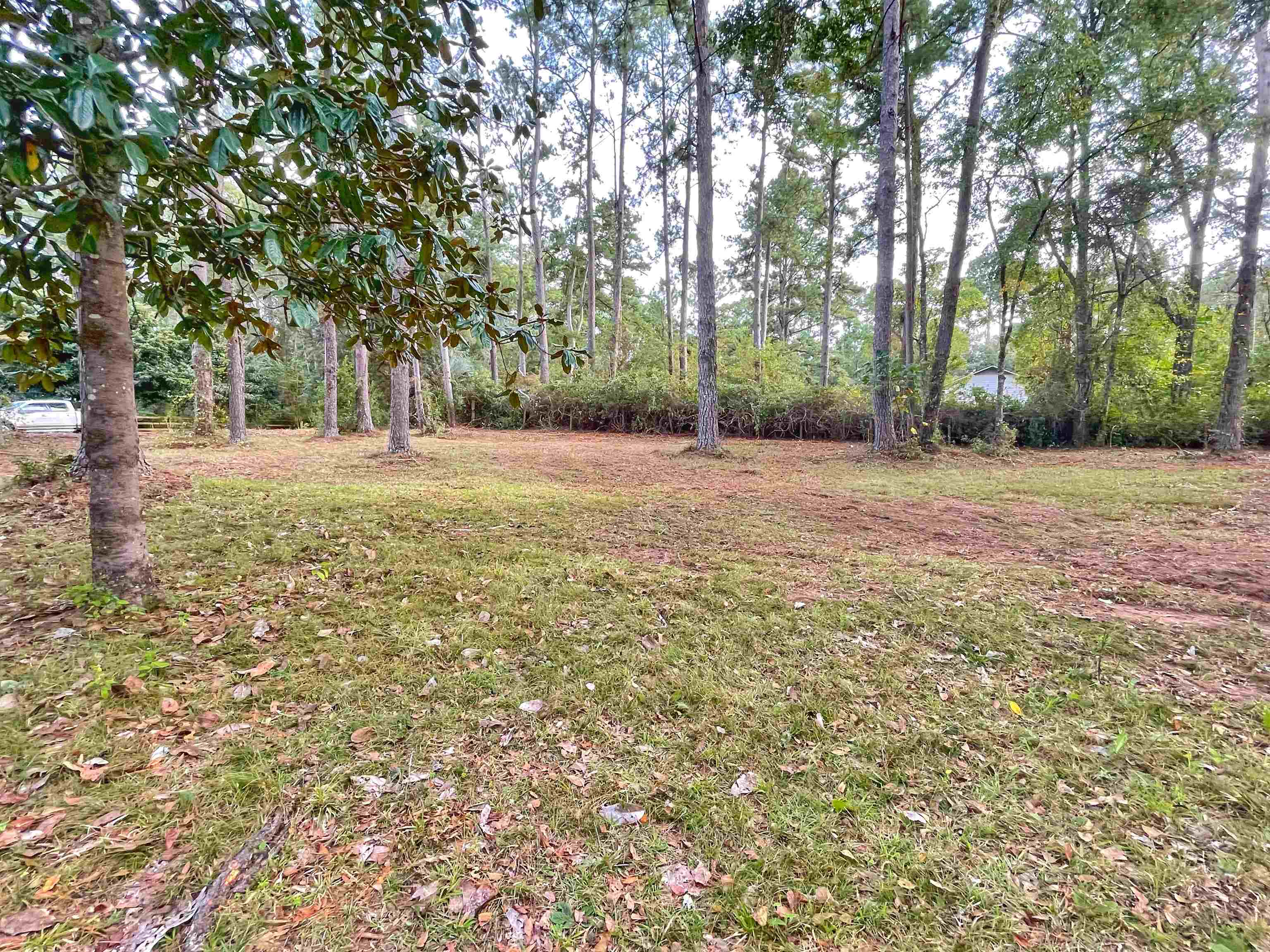 0 Frontier Road Tallahassee, FL 32309 - Photo 6 of 8