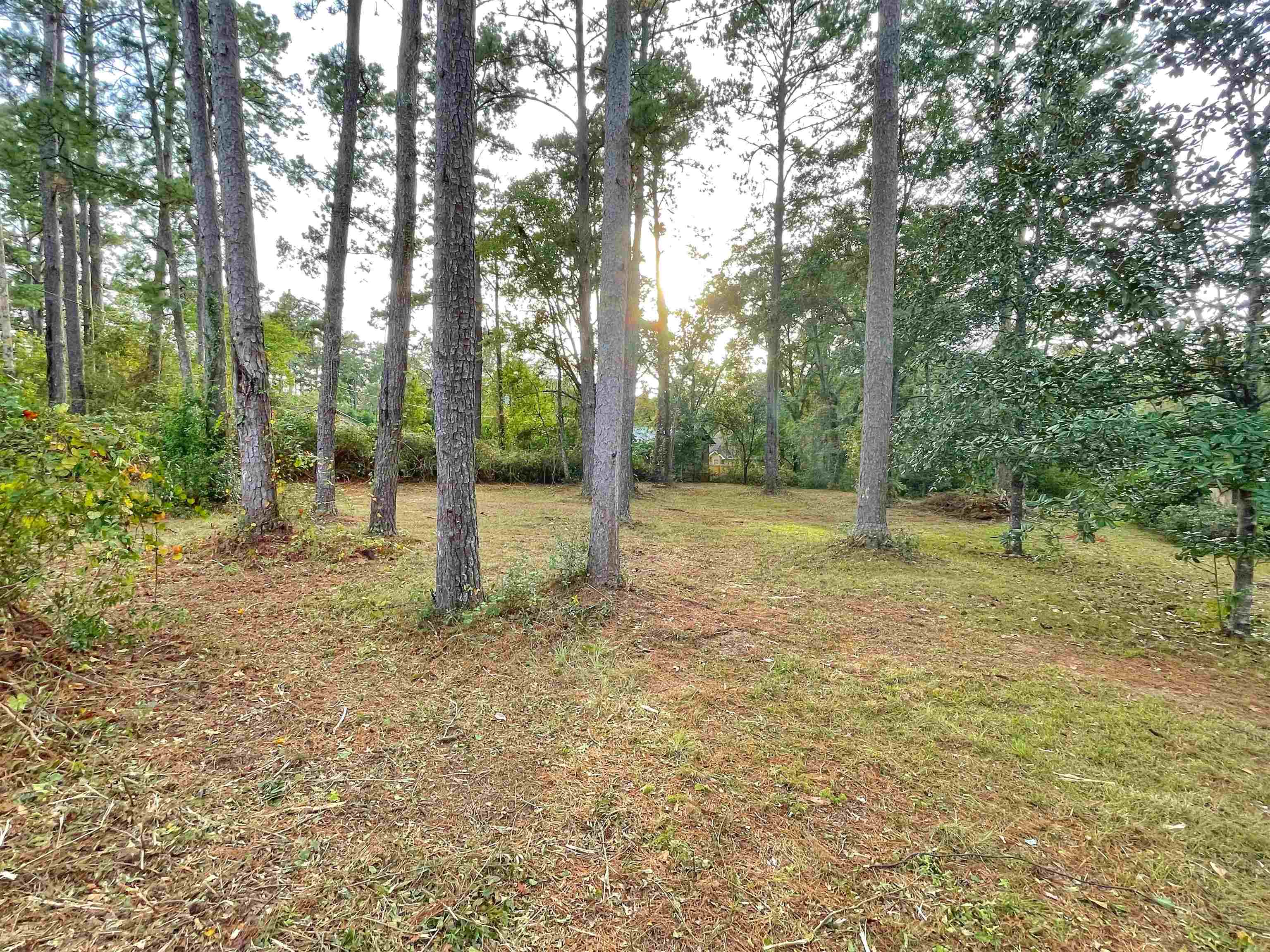 0 Frontier Road Tallahassee, FL 32309 - Photo 7 of 8