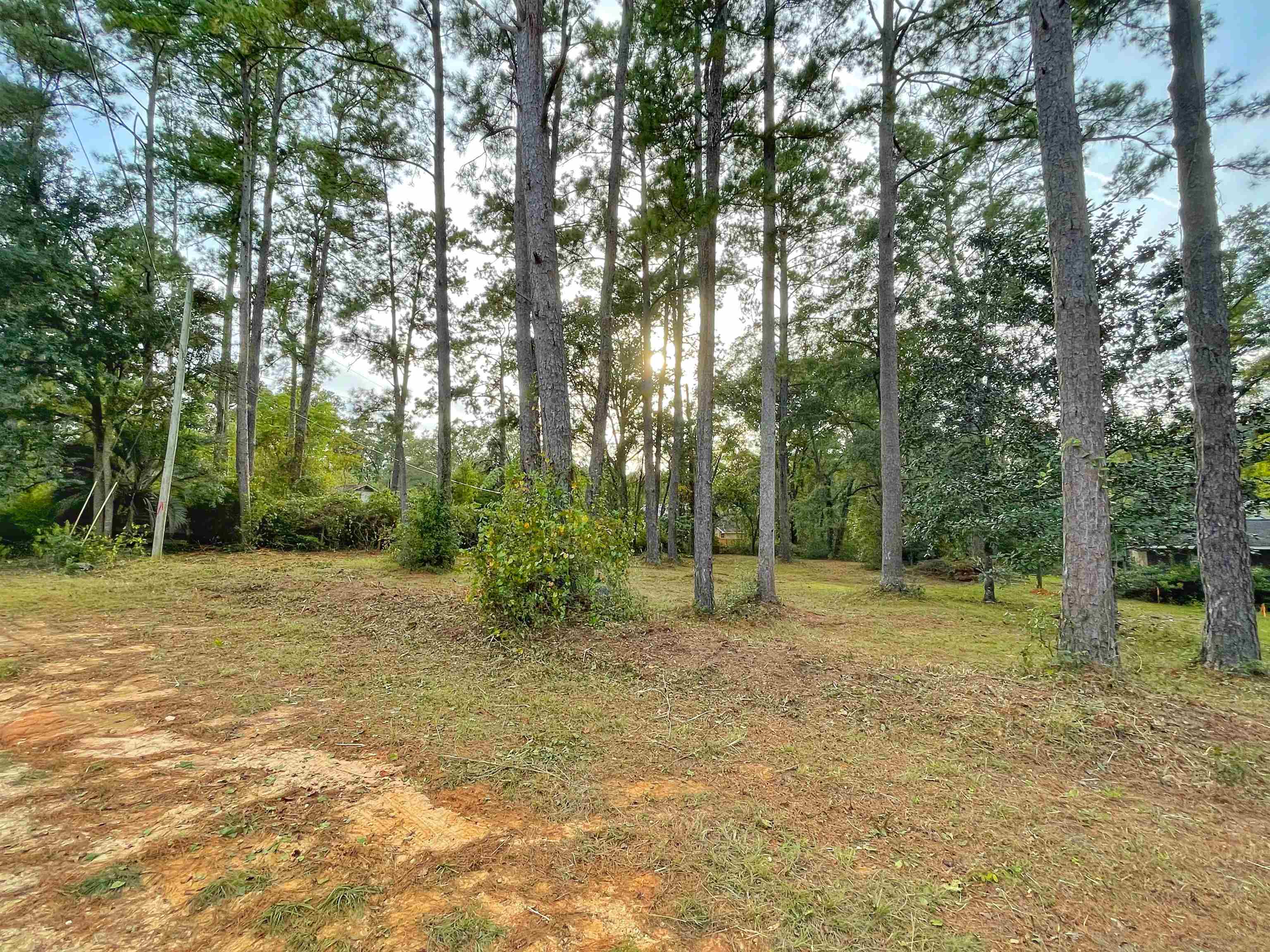 0 Frontier Road Tallahassee, FL 32309 - Photo 8 of 8