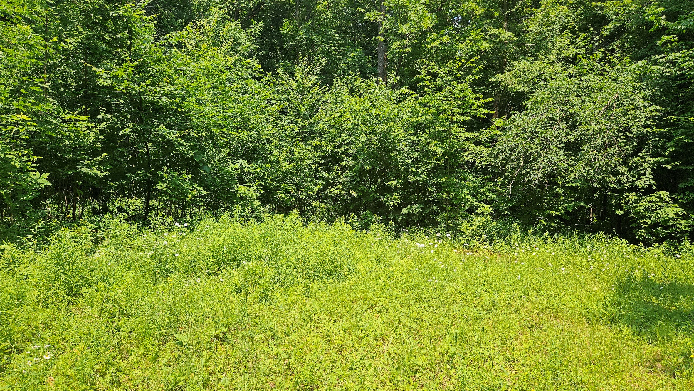 4687 Valesh Road Couderay, WI 54828 - Photo 11 of 12