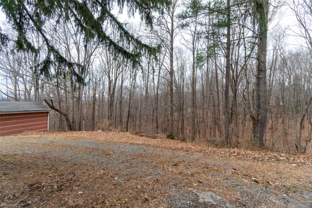 309 Chestnut Ridge Road Mount Airy, NC 27030 - Photo 10 of 49 Gallery Image 10