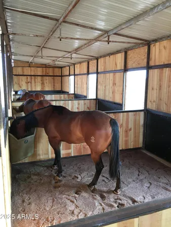 a room with lots of furniture and a rug